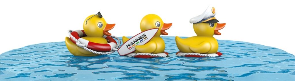 3 Enten