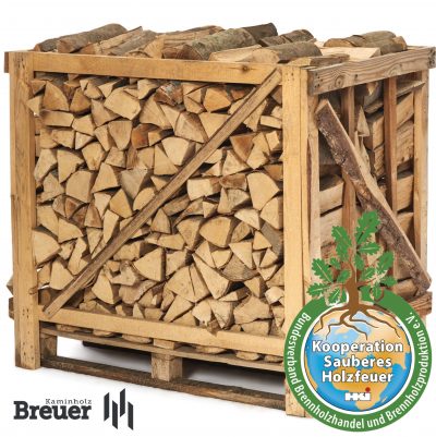 buchen-brennholz-kaufen-getrocknet-berlin