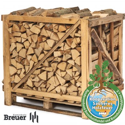 buchen-brennholz-kaufen-getrocknet-berlin buchen-brennholz-kaufen-getrocknet-berlin